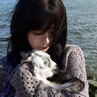 杜鹃的婚约