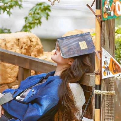 家有儿女新传